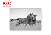 3D PET Postcards