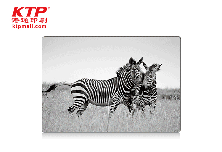 3D PET Postcards