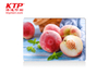 3D PET Fridge Magnets