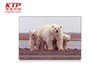 3D PET Postcards