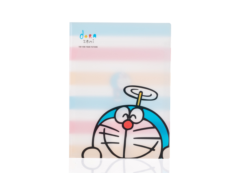 PP File Foler