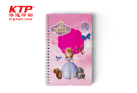 PP Notebook