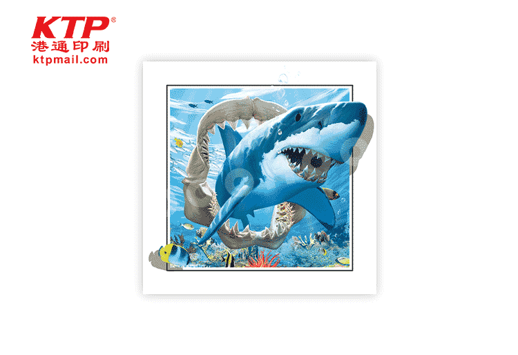 3D PET Adornment Picture