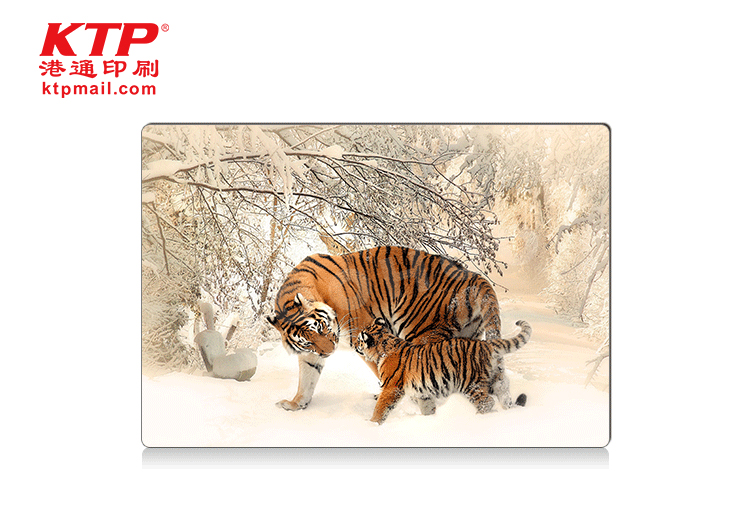 3D PET Postcards