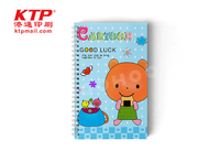 PP Notebook