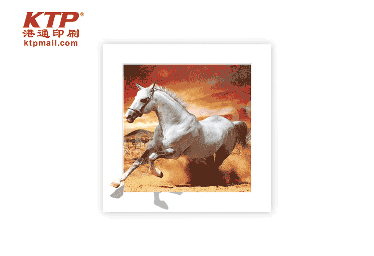 3D PET Adornment Picture