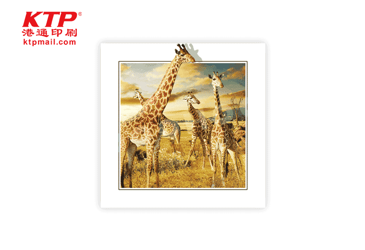 3D PET Adornment Picture